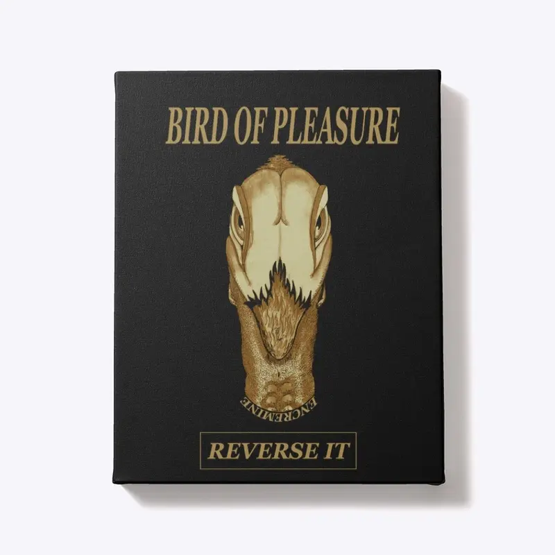 BIRD OF PLEASURE 2024