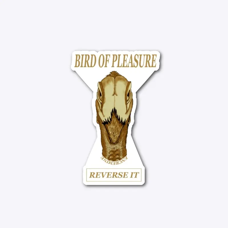 BIRD OF PLEASURE 2024