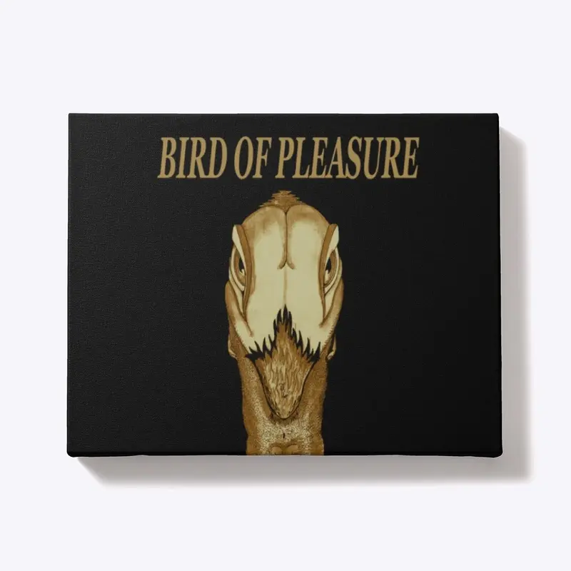 BIRD OF PLEASURE 2024